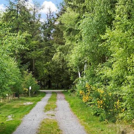 Oh151-hadsund-korsikanerskoven-27